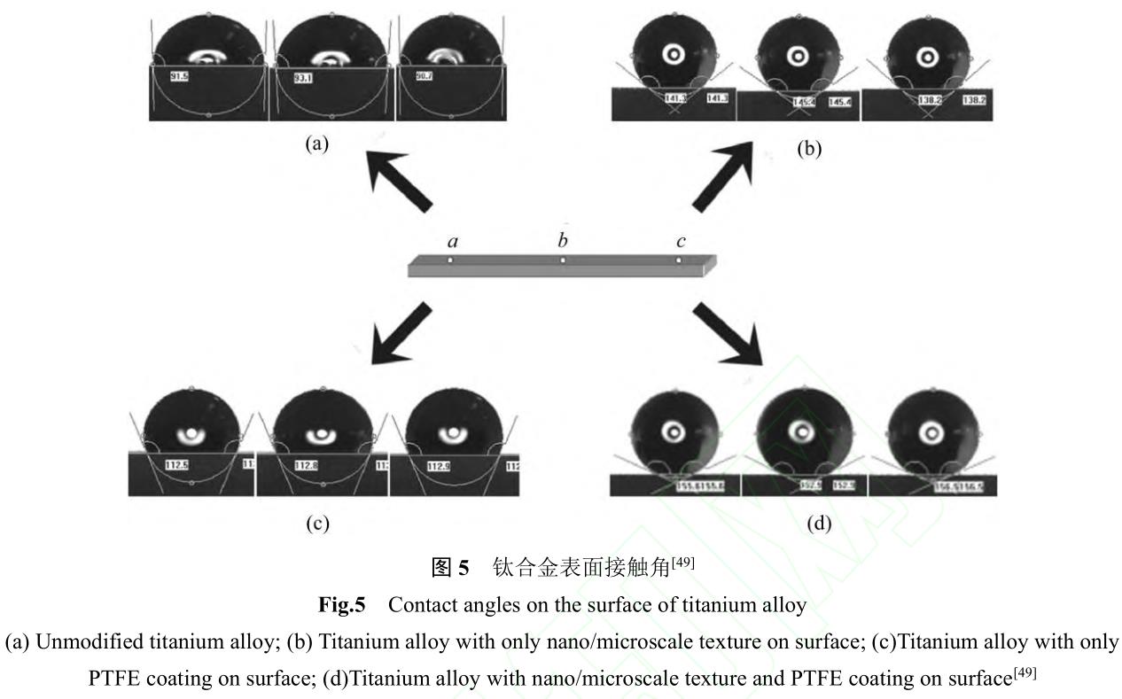 1729739706606566.jpg 360截圖16510927112109130.jpg